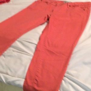 Indigo Denim jean size 10